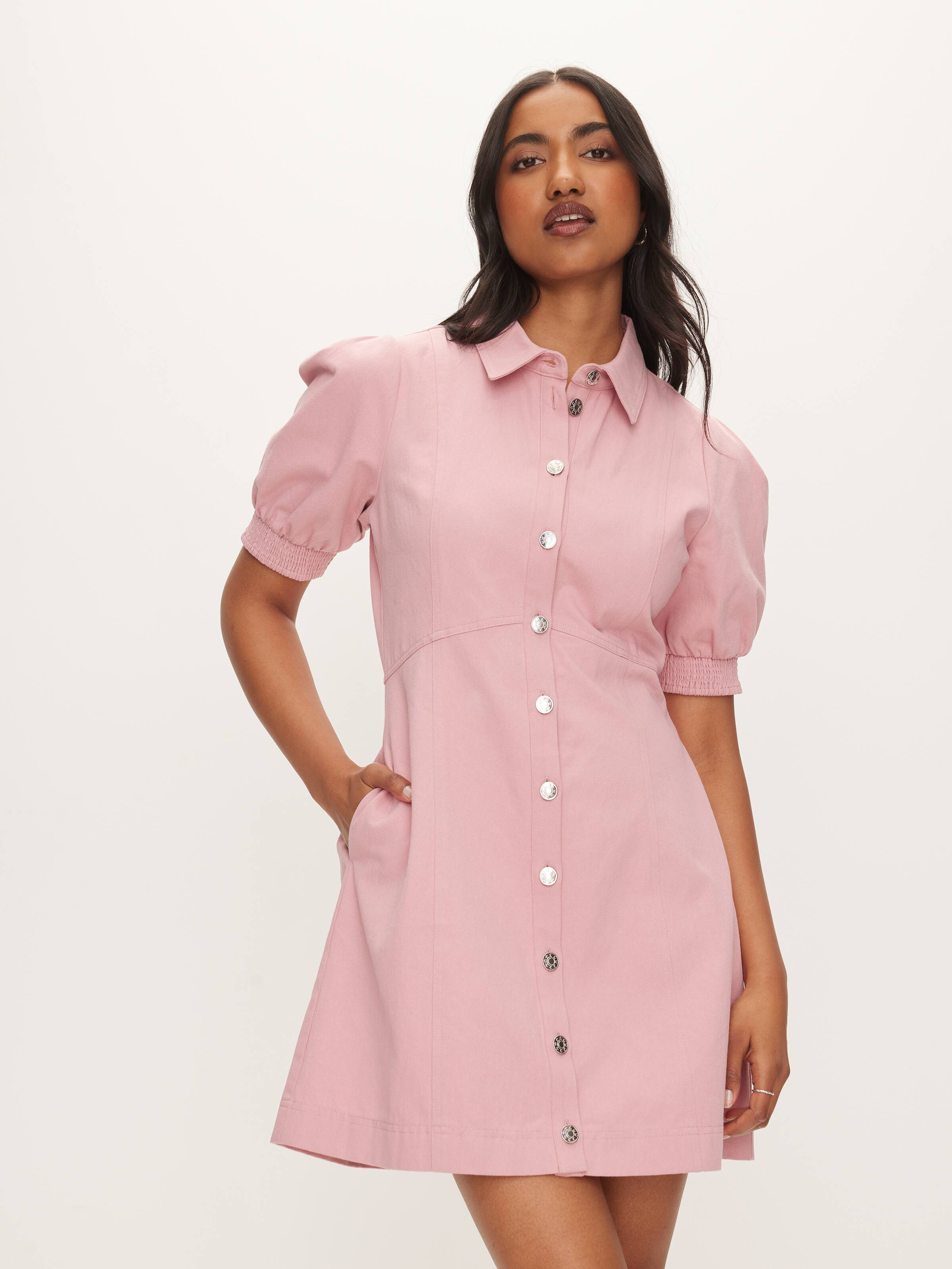 Candice Denim Short Sleeve Mini Dress