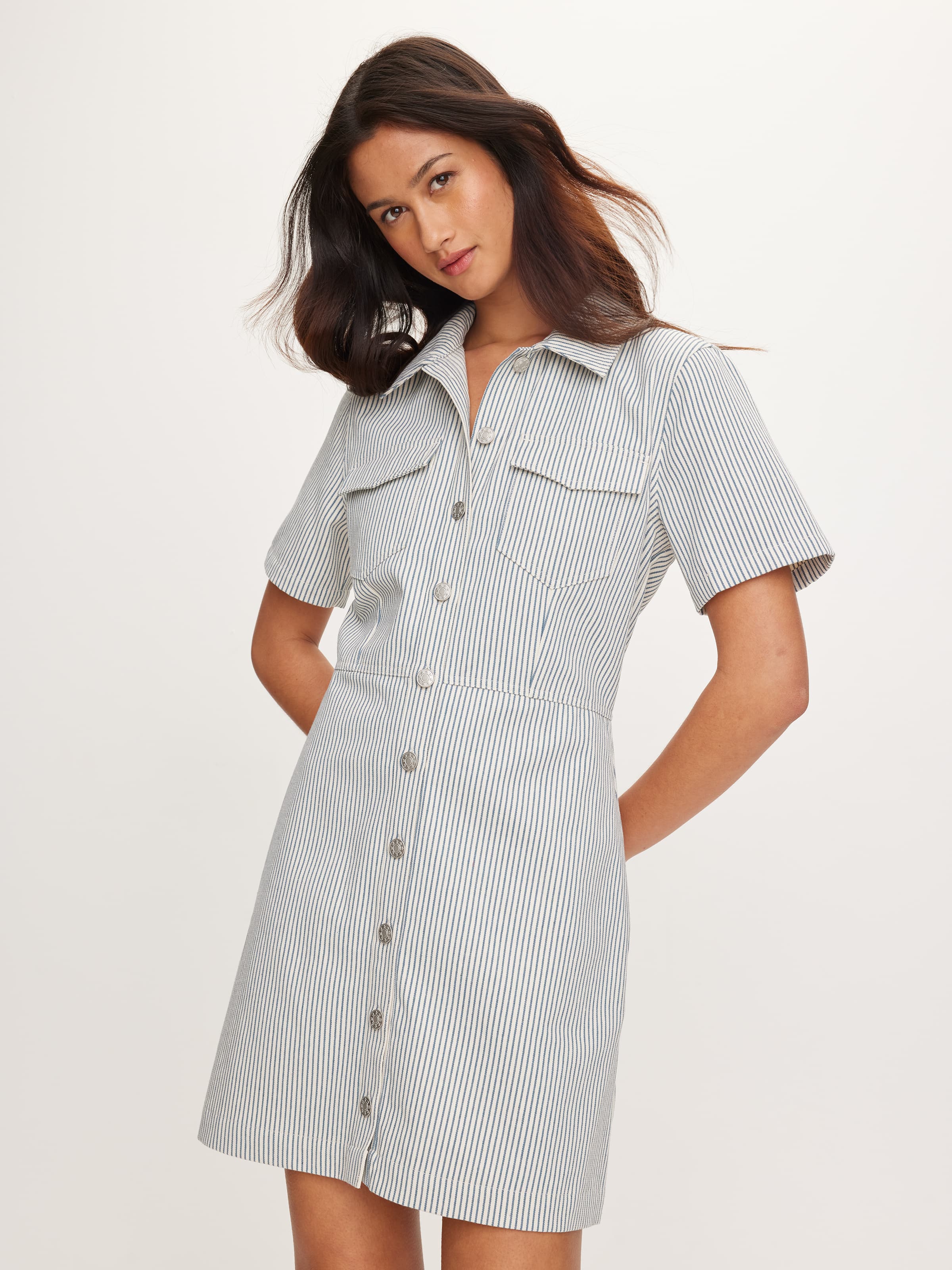 Simmie Denim Mini Dress