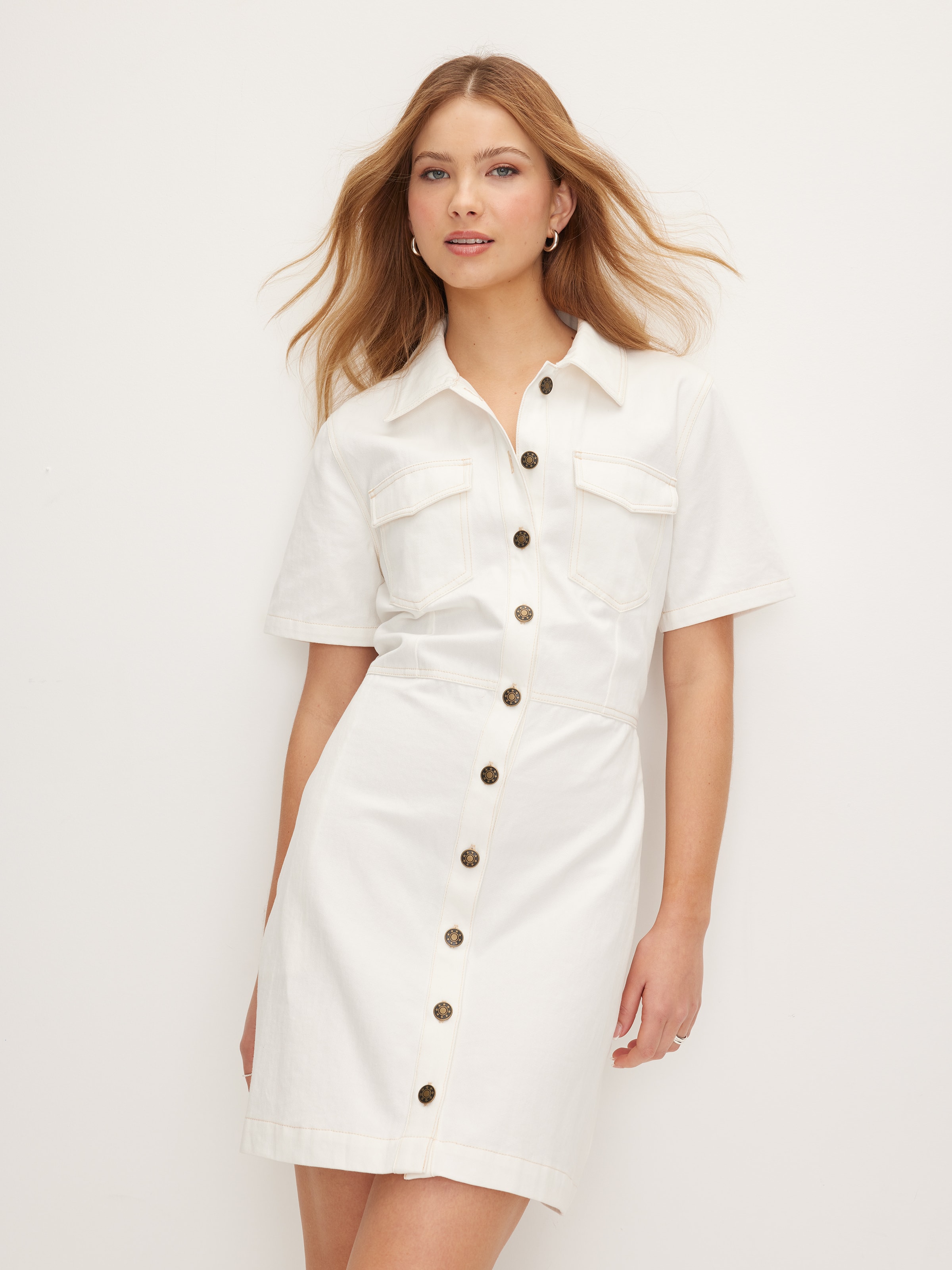 Simmie Denim Mini Dress