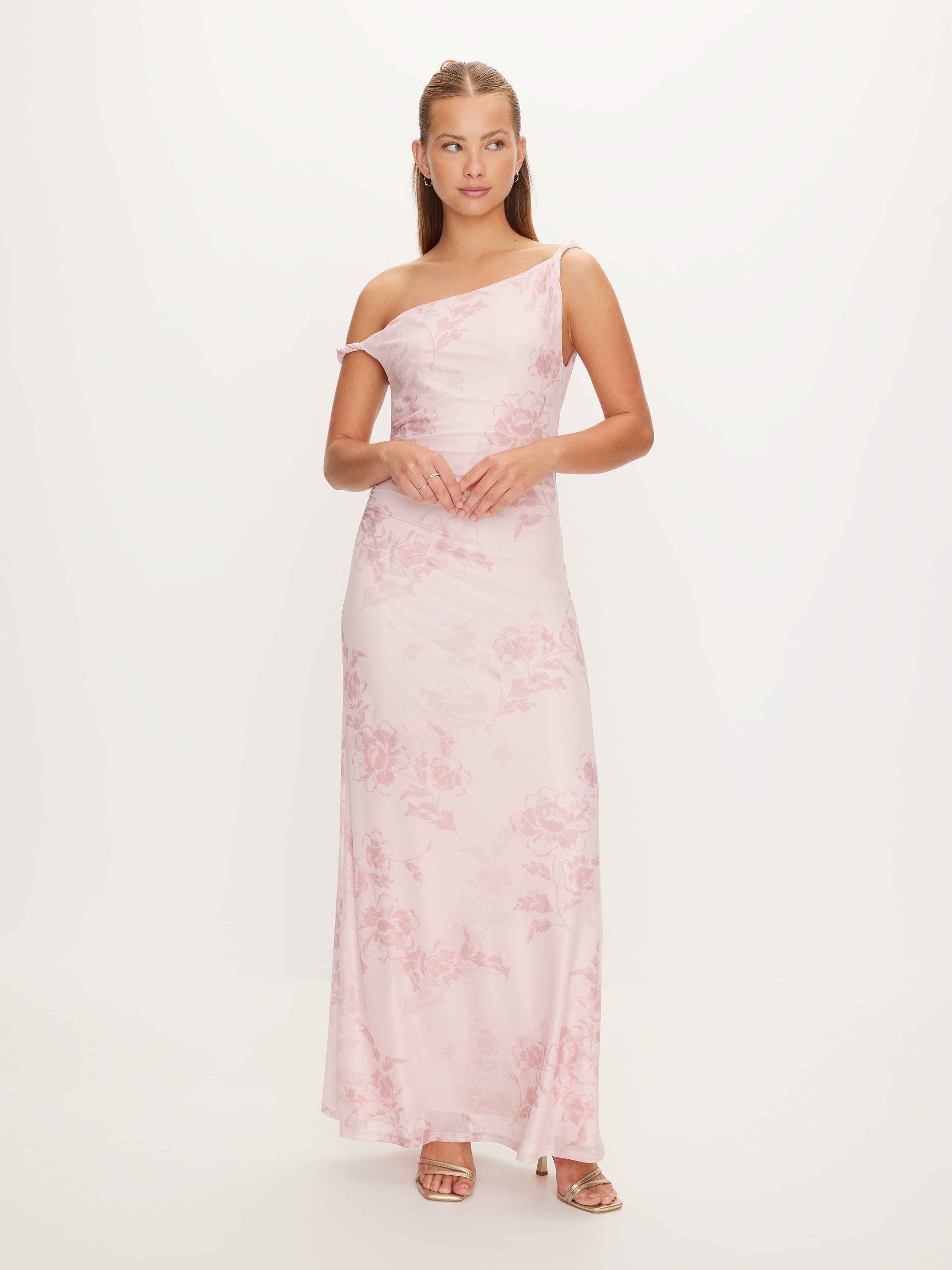 Aylani Mesh Maxi Dress