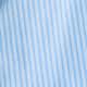Blue Stripe