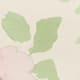 Water Colour Gardenia