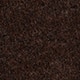 Pecan