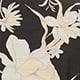 Black Floral