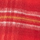 Red Check