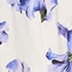 White Base Iris